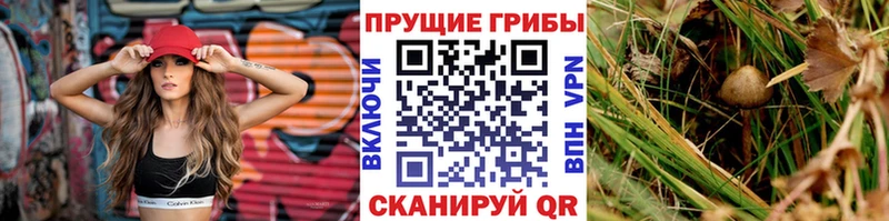 купить закладку Котово Галлюциногенные грибы ЛСД